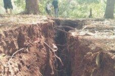 Video: Walhi Kritik Keras Pemkab Bombana Soal Aktivitas PT Manyoi di Pulau Kabaena