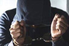 Kisah Maling Sapi oleh 2 Pria Pengangguran di Bombana