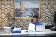 Gegara Tubel, Gaji Bidan Desa di Konawe Ditahan