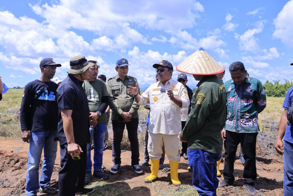 Sinergi Pemkab Bombana dan Petani untuk Ketahanan Pangan 10
