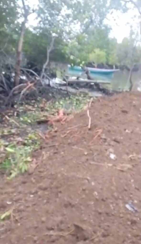 Hutan Lindung Jadi Lahan Usaha, Pihak Desa dan Aparat Dinilai Tutup Mata 2